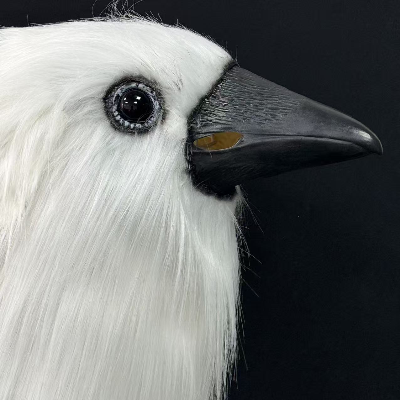 Halloween White Crow Head Latex Mask Cosplay Costume Props