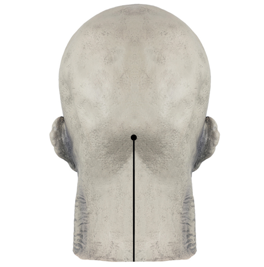 Scary Undead Zombie Full Head Latex Mask, Horror Skeleton Monster Mask Halloween Cosplay Prop