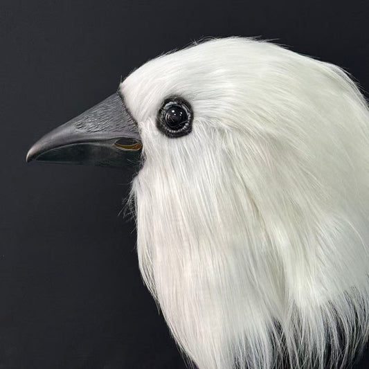 Halloween White Crow Head Latex Mask Cosplay Costume Props