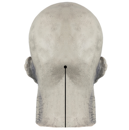 Scary Undead Zombie Full Head Latex Mask, Horror Skeleton Monster Mask Halloween Cosplay Prop