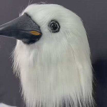 Halloween White Crow Head Latex Mask Cosplay Costume Props